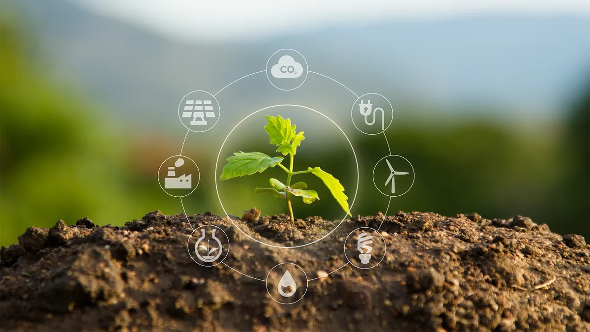 Professional – Necessary – Environment